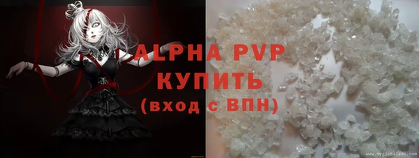 гашик Баксан