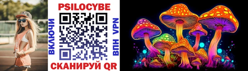 KRAKEN сайт  Тутаев  Псилоцибиновые грибы мицелий 